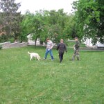 priprava-na-staveni-maje46.jpg