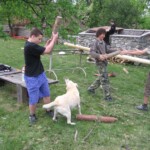 priprava-na-staveni-maje53.jpg