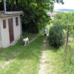 prvni-farni-den013.jpg