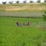 prvni-farni-den072.jpg