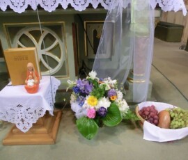 prvni-svate-prijimani-sitborice-017