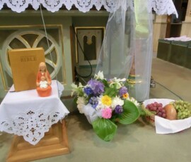 prvni-svate-prijimani-sitborice-023