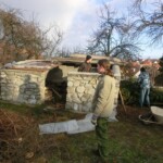 rezani-vanocnich-stromu-06