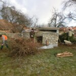 rezani-vanocnich-stromu-07