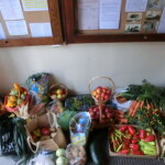 sbirka-pro-betlem-002