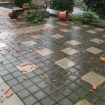 skody-po-vichrici-003