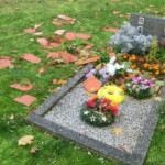 skody-po-vichrici-011