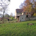 soustredeni-v-nemoticich-099.jpg