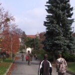 soustredeni-v-nemoticich-172.jpg