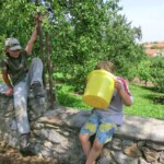 stanovani-na-fare-032