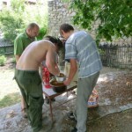 stanovani-na-fare-052