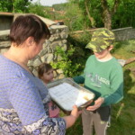 staveni-maje-2014-006