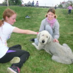 staveni-maje-2014-034