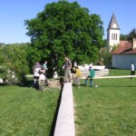 staveni-maje06.jpg