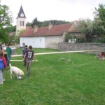 staveni-maje13.jpg