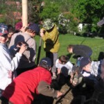 staveni-maje19.jpg