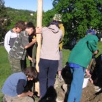staveni-maje24.jpg