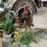 svatohubertska-mse-svata-029