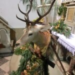 svatohubertska-mse-svata-030