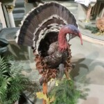 svatohubertska-mse-svata-031