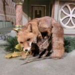 svatohubertska-mse-svata-033