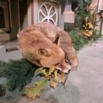 svatohubertska-mse-svata-034