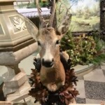 svatohubertska-mse-svata-039