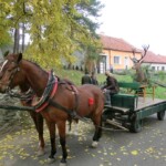 svatohubertska-mse-svata-048