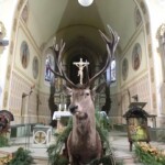 svatohubertska-mse-svata-086