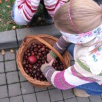 svatomartinske-jablecne-slavnosti016.jpg