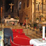 svetelny-ruzenec-2009-04