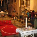 svetelny-ruzenec-2009-05