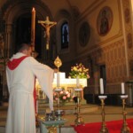 svetelny-ruzenec-2009-08