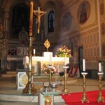 svetelny-ruzenec-2009-09