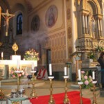 svetelny-ruzenec-2009-10