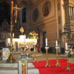 svetelny-ruzenec-2009-11