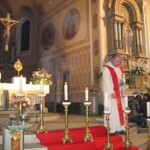 svetelny-ruzenec-2009-13