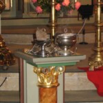 svetelny-ruzenec-2009-14