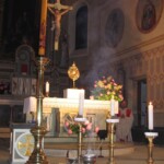 svetelny-ruzenec-2009-15