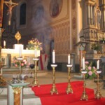 svetelny-ruzenec-2009-16