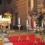 svetelny-ruzenec-2009-19