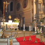 svetelny-ruzenec-2009-25