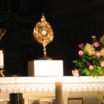 svetelny-ruzenec-2009-26