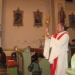 svetelny-ruzenec-2009-28