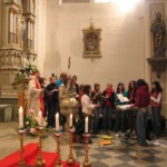 svetelny-ruzenec-2009-34