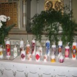 svicky-z-vranova-u-brna01