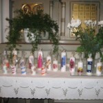 svicky-z-vranova-u-brna02