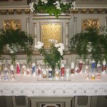 svicky-z-vranova-u-brna13