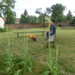 taborak-nikolcice-003