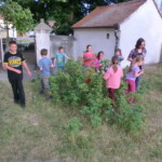 taborak-nikolcice-027